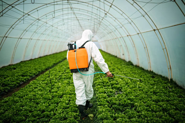 Best Affordable Pest Control Services  in Whitefish Bay, WI