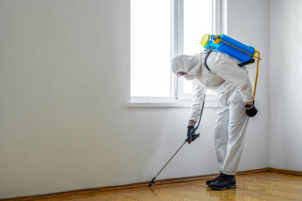 Best Local Pest Control Services  in Whitefish Bay, WI