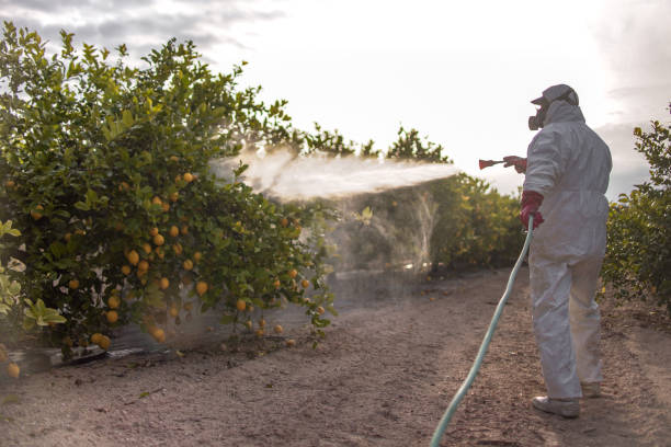 Best Termite Control Services  in Whitefish Bay, WI