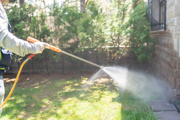 Best Wasp Removal Services  in Whitefish Bay, WI