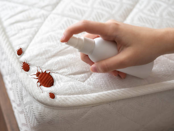 Best Best Pest Control Companies  in Whitefish Bay, WI