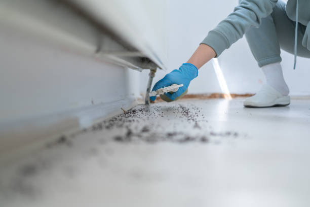 Best Pest Inspection Near Me  in Whitefish Bay, WI